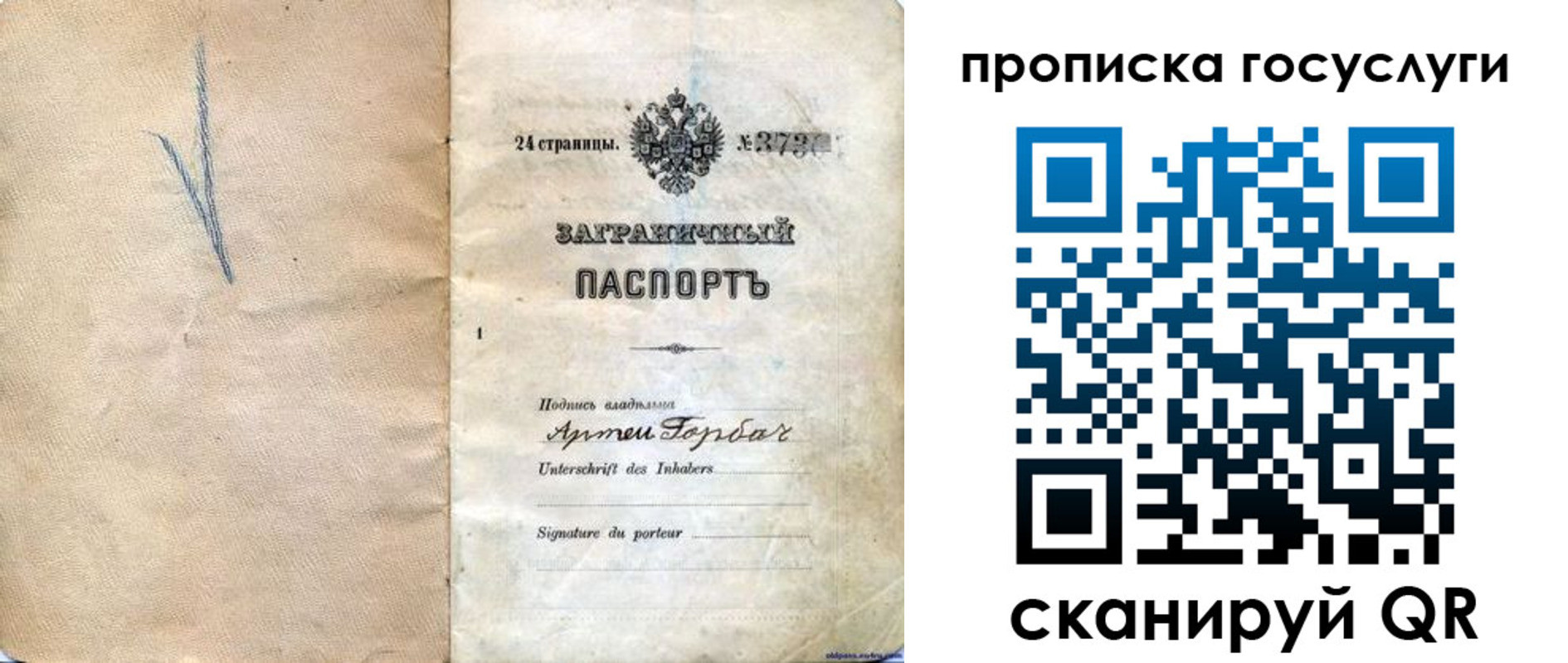 прописка законно в Волгограде
